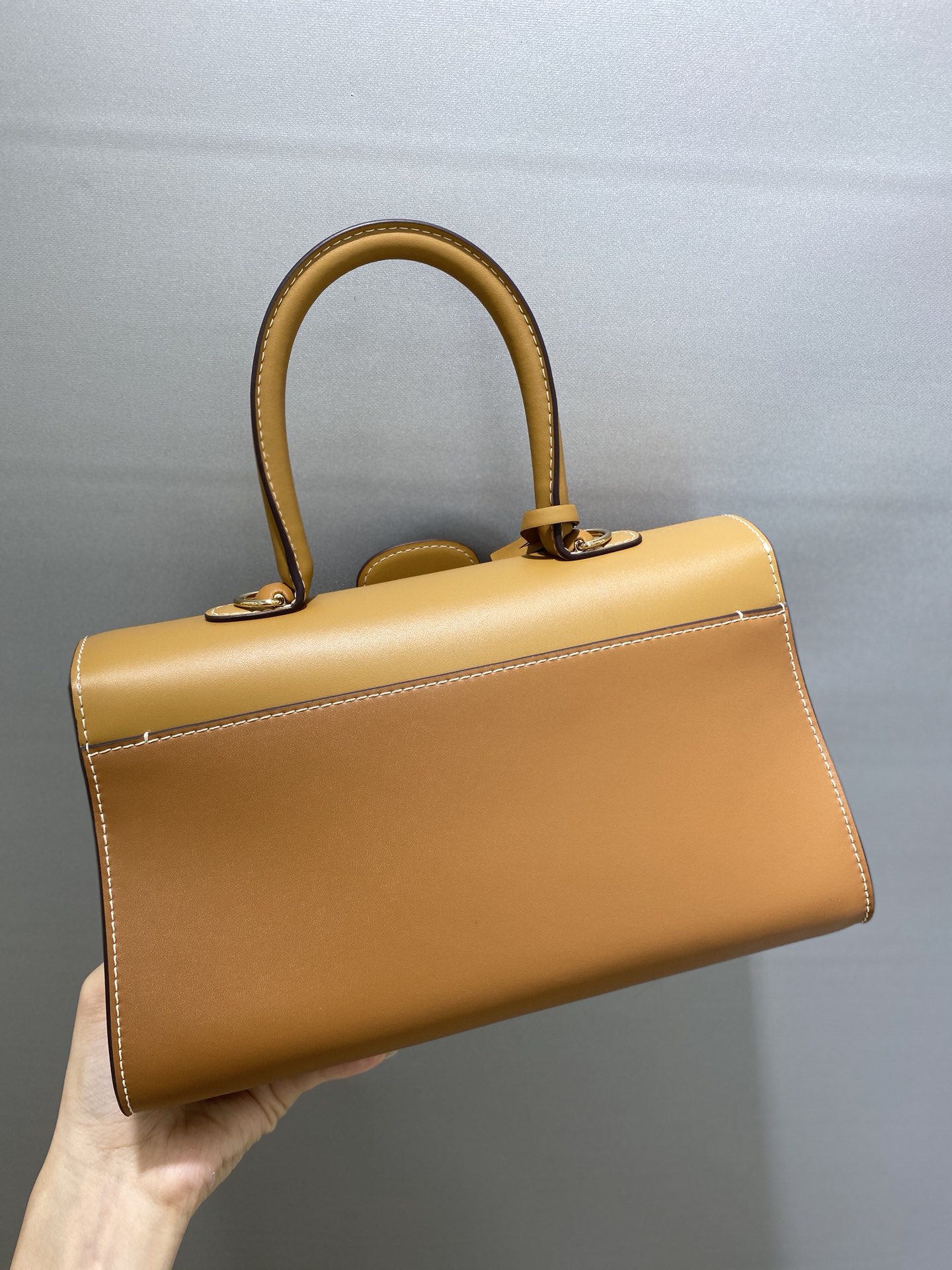 델보 브리앙 박스백 스몰